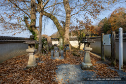 竹中半兵衛の墓 | 高解像度画像サイズ：7979 x 5322 pixels | 写真番号：6F1A7208 | 撮影：Canon EOS R5m2