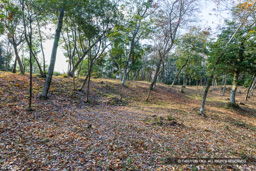 平井山ノ上付城 | 高解像度画像サイズ：8192 x 5464 pixels | 写真番号：6F1A7247 | 撮影：Canon EOS R5m2