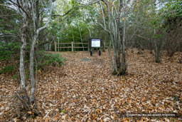 平井村中村間ノ山付城（竹中半兵衛陣所） | 高解像度画像サイズ：8192 x 5464 pixels | 写真番号：6F1A7261 | 撮影：Canon EOS R5m2