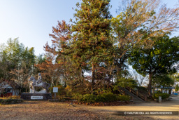 別所長治石像と伝天守台・本丸跡 | 高解像度画像サイズ：7724 x 5152 pixels | 写真番号：6F1A7331 | 撮影：Canon EOS R5m2