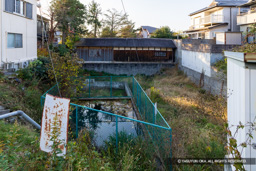 二の丸堀跡 | 高解像度画像サイズ：8192 x 5464 pixels | 写真番号：6F1A7334 | 撮影：Canon EOS R5m2