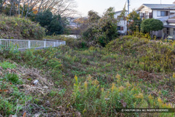 三木新城と鷲尾山城を区切る堀跡 | 高解像度画像サイズ：7335 x 4893 pixels | 写真番号：6F1A7337 | 撮影：Canon EOS R5m2