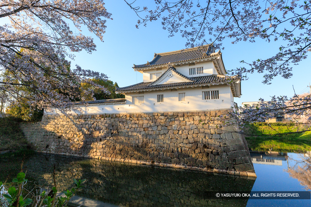 模擬御矢倉（水口城資料館）と桜