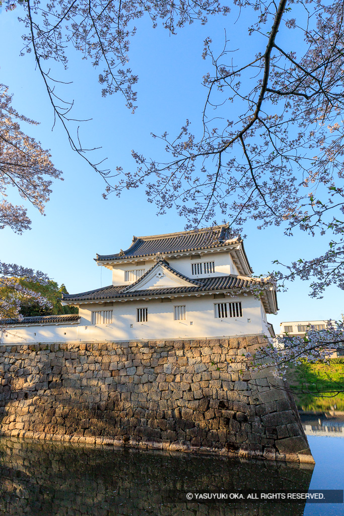 模擬御矢倉（水口城資料館）と桜