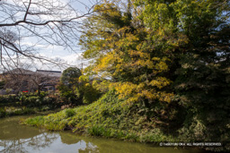 巽御矢倉跡 | 高解像度画像サイズ:5184 x 3456 pixels | 写真番号:1DX_5073 | 撮影:Canon EOS-1D X