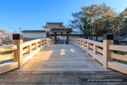 御成橋 | 高解像度画像サイズ:8192 x 5464 pixels | 写真番号:6F1A4840 | 撮影:Canon EOS R5m2