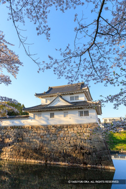 模擬御矢倉（水口城資料館）と桜 | 高解像度画像サイズ：5010 x 7511 pixels | 写真番号：6F1A4887 | 撮影：Canon EOS R5m2