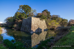 乾御矢倉台と水堀 | 高解像度画像サイズ:8192 x 5464 pixels | 写真番号:6F1A4905 | 撮影:Canon EOS R5m2