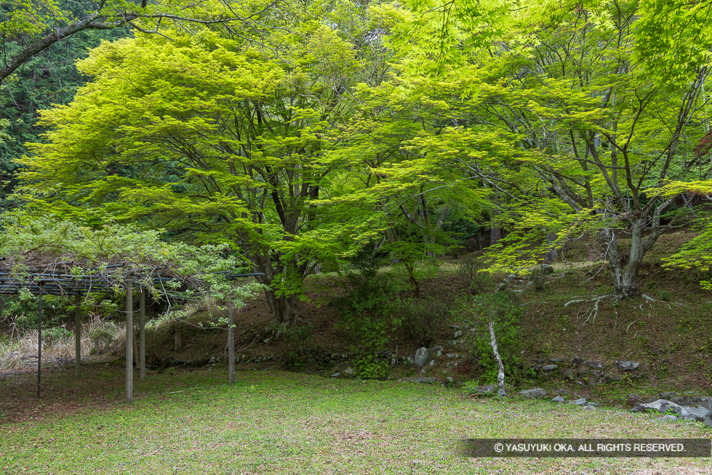 三瀬館跡・階段状の平坦地