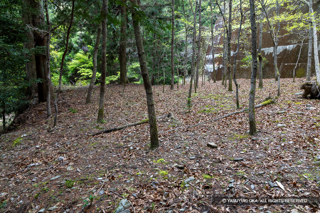 階段状の平坦地