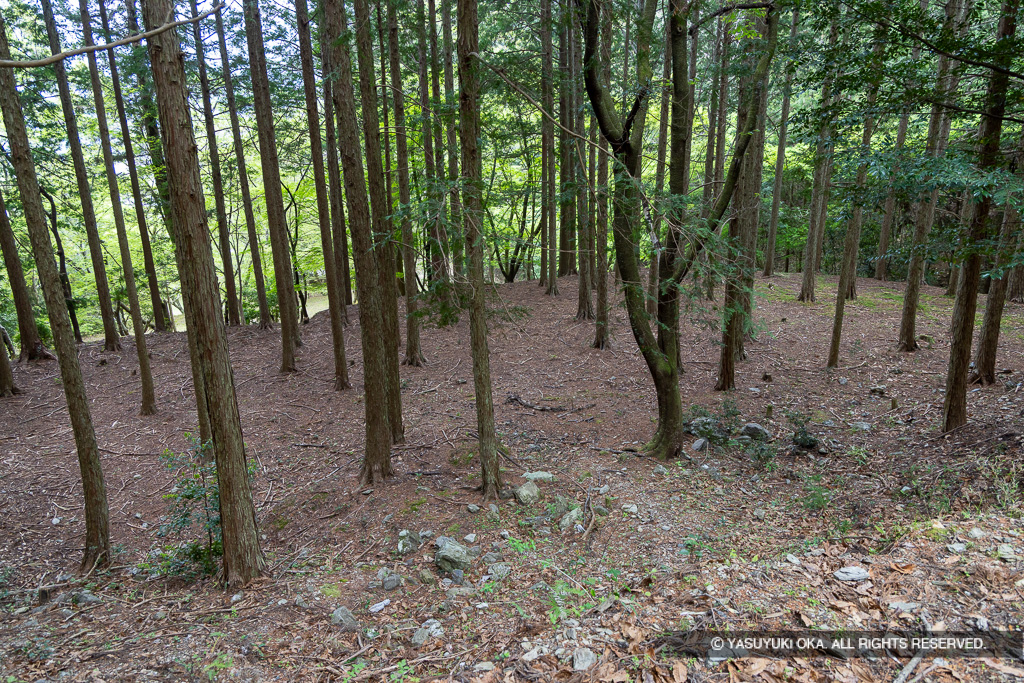階段状の平坦地
