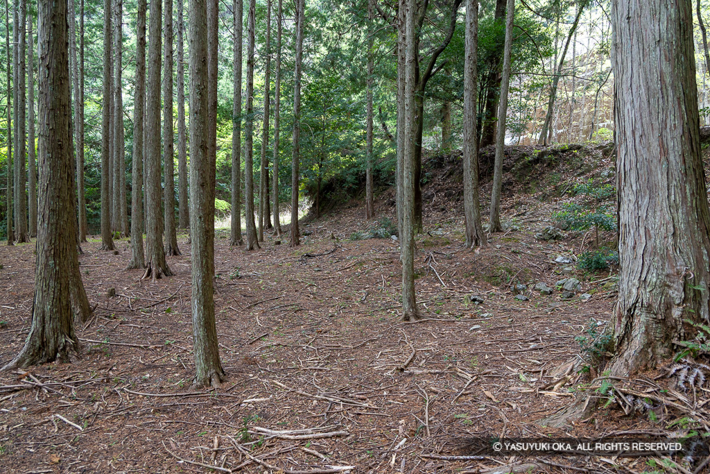 階段状の平坦地
