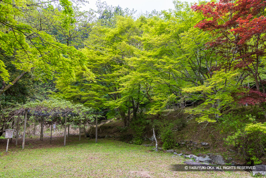 三瀬館跡・階段状の平坦地