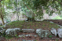 胴塚の碑 | 高解像度画像サイズ:8192 x 5464 pixels | 写真番号:6F1A7335 | 撮影:Canon EOS R5m2