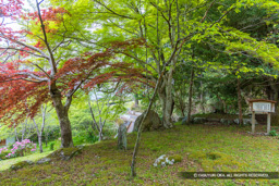 三瀬館跡 | 高解像度画像サイズ:8192 x 5464 pixels | 写真番号:6F1A7338 | 撮影:Canon EOS R5m2