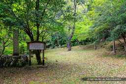 三瀬館跡・階段状の平坦地 | 高解像度画像サイズ：8192 x 5464 pixels | 写真番号：6F1A7342 | 撮影：Canon EOS R5m2