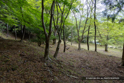 階段状の平坦地 | 高解像度画像サイズ:8192 x 5464 pixels | 写真番号:6F1A7345 | 撮影:Canon EOS R5m2