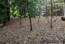 階段状の平坦地 | 高解像度画像サイズ:8192 x 5464 pixels | 写真番号:6F1A7347 | 撮影:Canon EOS R5m2