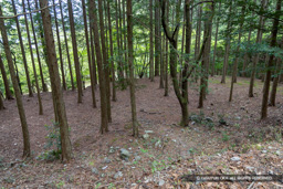 階段状の平坦地 | 高解像度画像サイズ:8192 x 5464 pixels | 写真番号:6F1A7348 | 撮影:Canon EOS R5m2