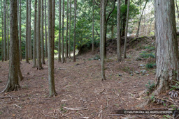 階段状の平坦地 | 高解像度画像サイズ:8192 x 5464 pixels | 写真番号:6F1A7349 | 撮影:Canon EOS R5m2