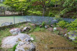 庭園跡か | 高解像度画像サイズ:8192 x 5464 pixels | 写真番号:6F1A7350 | 撮影:Canon EOS R5m2