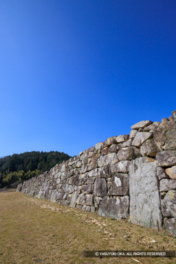 吉川元春館跡の石垣に見られる立石 | 高解像度画像サイズ：5464 x 8192 pixels | 写真番号：6F1A4177 | 撮影：Canon EOS R5m2