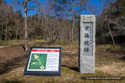 万徳院跡石碑 | 高解像度画像サイズ：8192 x 5464 pixels | 写真番号：6F1A4216 | 撮影：Canon EOS R5m2