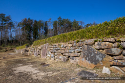 万徳院跡の正面石垣 | 高解像度画像サイズ：8192 x 5464 pixels | 写真番号：6F1A4230 | 撮影：Canon EOS R5m2