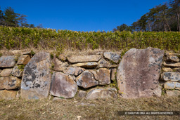 万徳院跡の正面石垣 | 高解像度画像サイズ：8192 x 5464 pixels | 写真番号：6F1A4233 | 撮影：Canon EOS R5m2