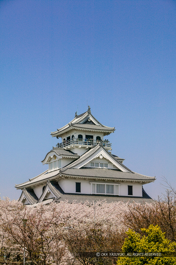 桜と長浜城