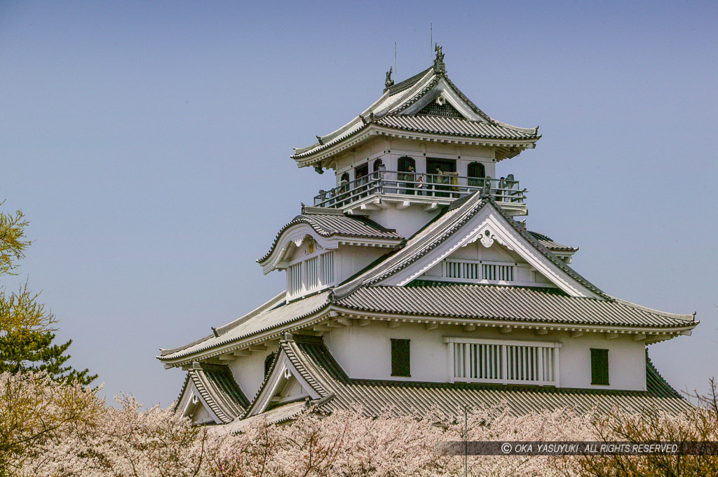 桜と長浜城