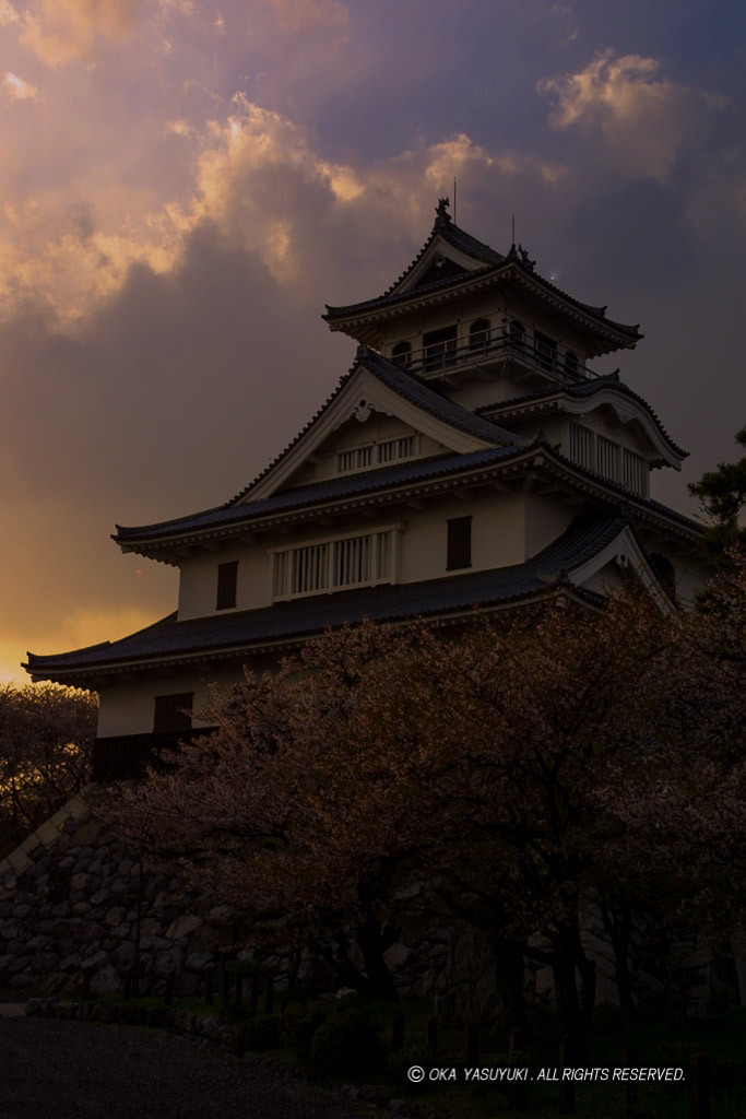 長浜城の夕景