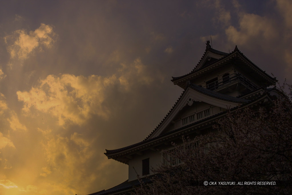 長浜城の夕景