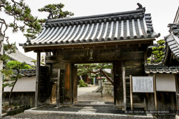 長浜城搦手門・知善院表門|高解像度画像サイズ:4947 x 3298 pixels|写真番号:1P3J6124|撮影:Canon EOS-1Ds Mark III