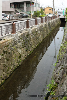 長浜城外堀跡｜高解像度画像サイズ：3084 x 4626 pixels｜写真番号：1P3J6157｜撮影：Canon EOS-1Ds Mark III