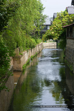 長浜城外堀跡｜高解像度画像サイズ：3616 x 5424 pixels｜写真番号：1P3J6163｜撮影：Canon EOS-1Ds Mark III