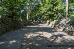 長浜城本丸石垣遺構｜高解像度画像サイズ：5616 x 3744 pixels｜写真番号：1P3J7007｜撮影：Canon EOS-1Ds Mark III