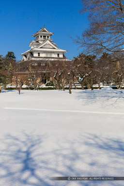 雪の長浜城｜高解像度画像サイズ：5734 x 8601 pixels｜写真番号：5DSA3937｜撮影：Canon EOS 5DS