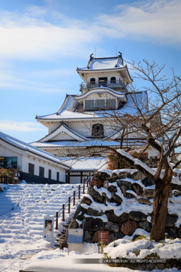 雪の長浜城｜高解像度画像サイズ：5710 x 8566 pixels｜写真番号：5DSA3965｜撮影：Canon EOS 5DS