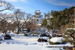 雪の長浜城｜高解像度画像サイズ：8587 x 5725 pixels｜写真番号：5DSA3986｜撮影：Canon EOS 5DS