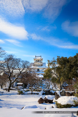 雪の長浜城｜高解像度画像サイズ：5792 x 8688 pixels｜写真番号：5DSA3991｜撮影：Canon EOS 5DS