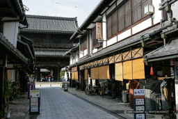長浜御坊表参道から山門を望む|高解像度画像サイズ:4809 x 3206 pixels|写真番号:VJ7Z0542|撮影:Canon EOS-1Ds Mark II