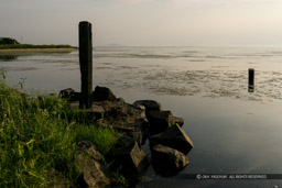 太閤井戸跡｜高解像度画像サイズ：4711 x 3141 pixels｜写真番号：VJ7Z0743｜撮影：Canon EOS-1Ds Mark II