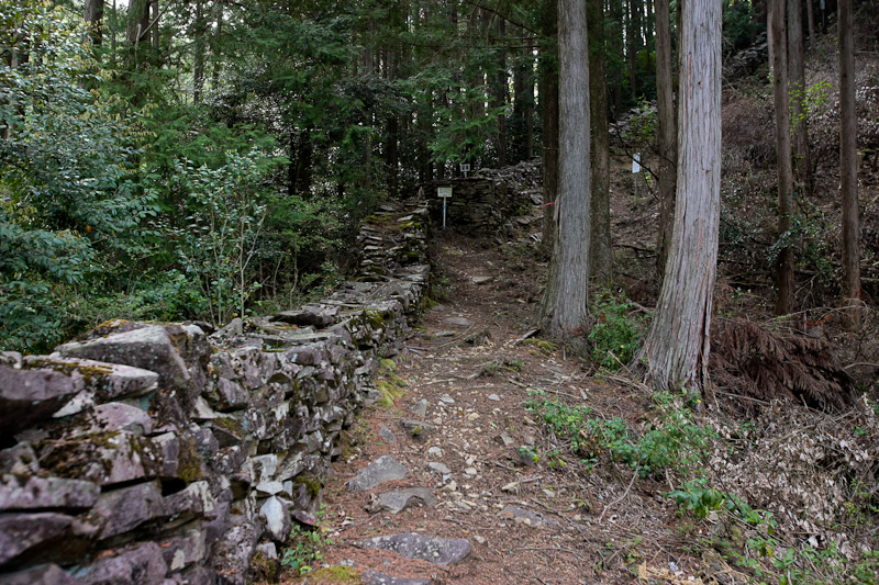 東之台から本丸へと続く石塁