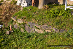 大手橋の石垣 | 高解像度画像サイズ：6720 x 4480 pixels | 写真番号：5D4A3675 | 撮影：Canon EOS 5D Mark IV