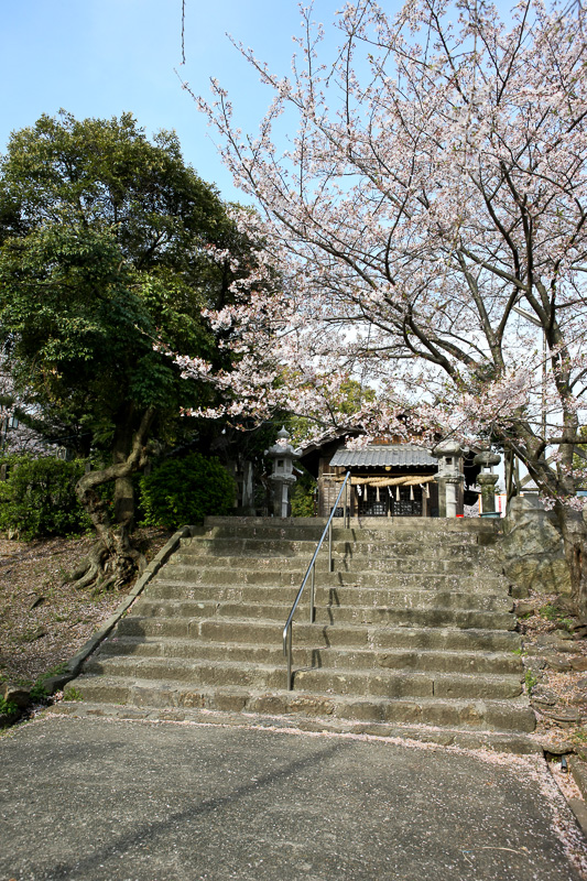 名島神社・名島城跡