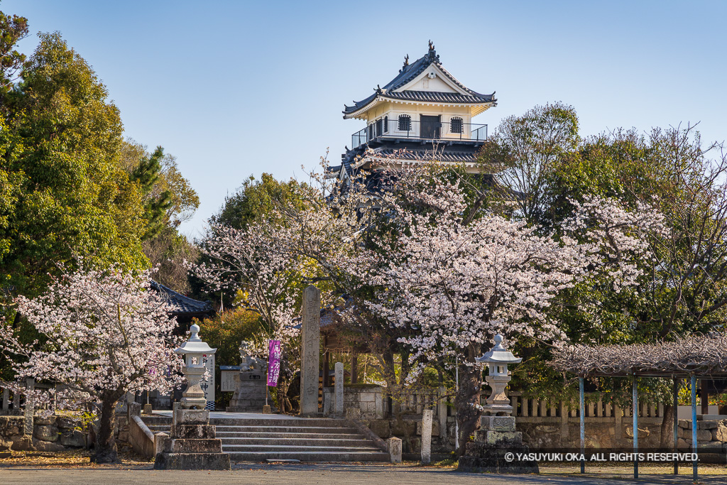 中津城天守閣と桜