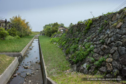 高瀬川に面する本丸石垣 | 高解像度画像サイズ:5616 x 3744 pixels | 写真番号:1P3J3401 | 撮影:Canon EOS-1Ds Mark III