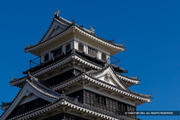 中津城天守閣 | 高解像度画像サイズ：8192 x 5464 pixels | 写真番号：6F1A4904 | 撮影：Canon EOS R5m2