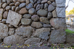 石垣刻印・練塀に残る城門跡 | 高解像度画像サイズ：8192 x 5464 pixels | 写真番号：6F1A4920 | 撮影：Canon EOS R5m2